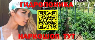 шишки Конаково
