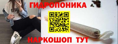 шишки Конаково