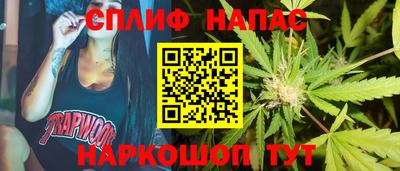 шишки Конаково