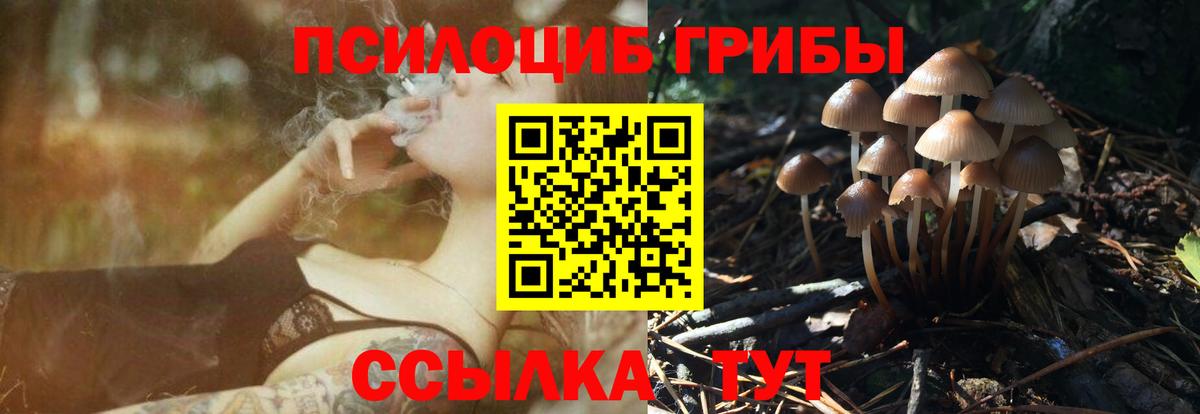Амурск  Галлюциногенные грибы мицелий  Вход с VPN 