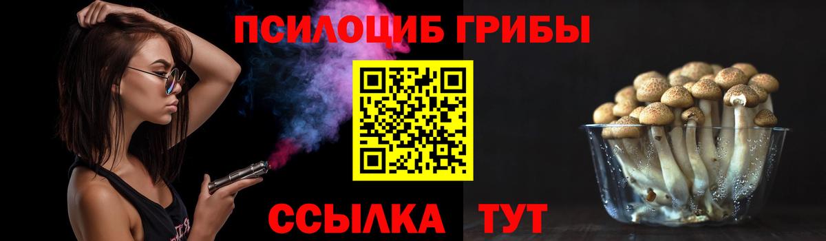 Псилоцибиновые грибы Magic Shrooms Амурск