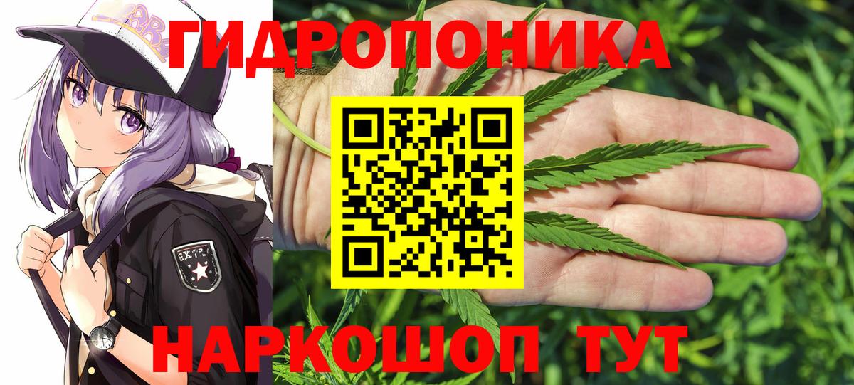 Амурск  Канабис White Widow  Бошки марихуана планчик  Вход с VPN  Бошки Шишки планчик  Каннабис AK-47 